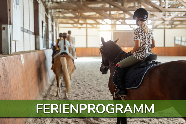 Read more about the article Ferienprogramm